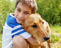 Welcome to The Dog Cancer Support Group