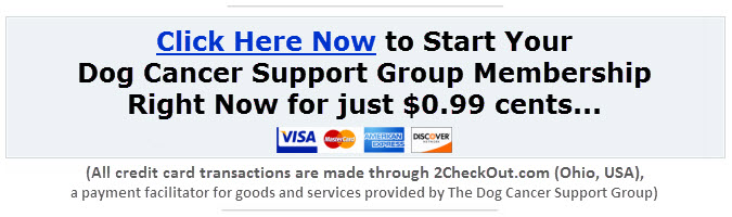 Click here to join the Dog Cancer Support Group for Just $0.99 cents