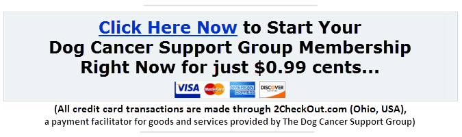 Click here to join the Dog Cancer Support Group for Just $0.99 cents