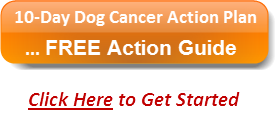 Free 10 Day Action Plan