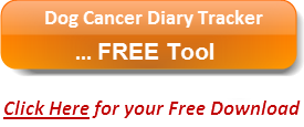 Free 10 Day Action Plan