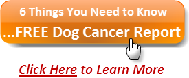 Free Dog Cancer Reports